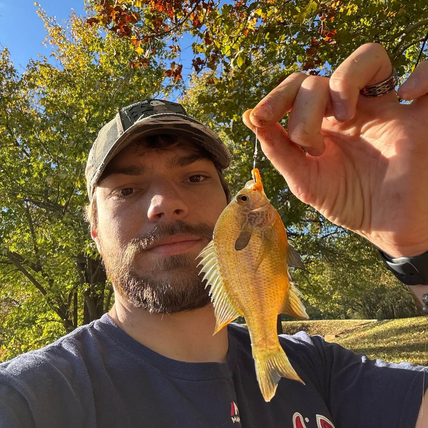 Redbreast sunfish caught on Fishbrain