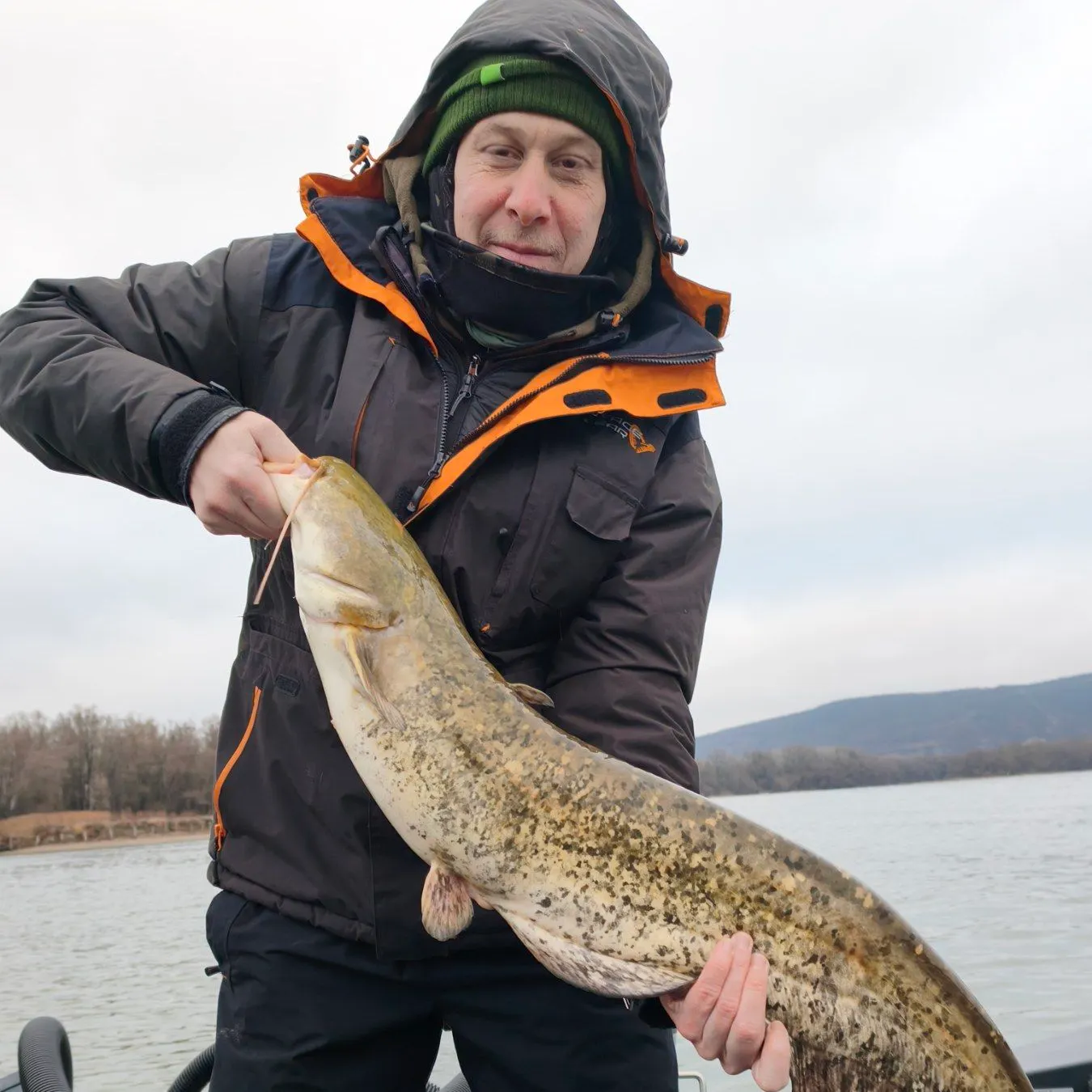 The most recent Wels catfish catches on Fishbrain