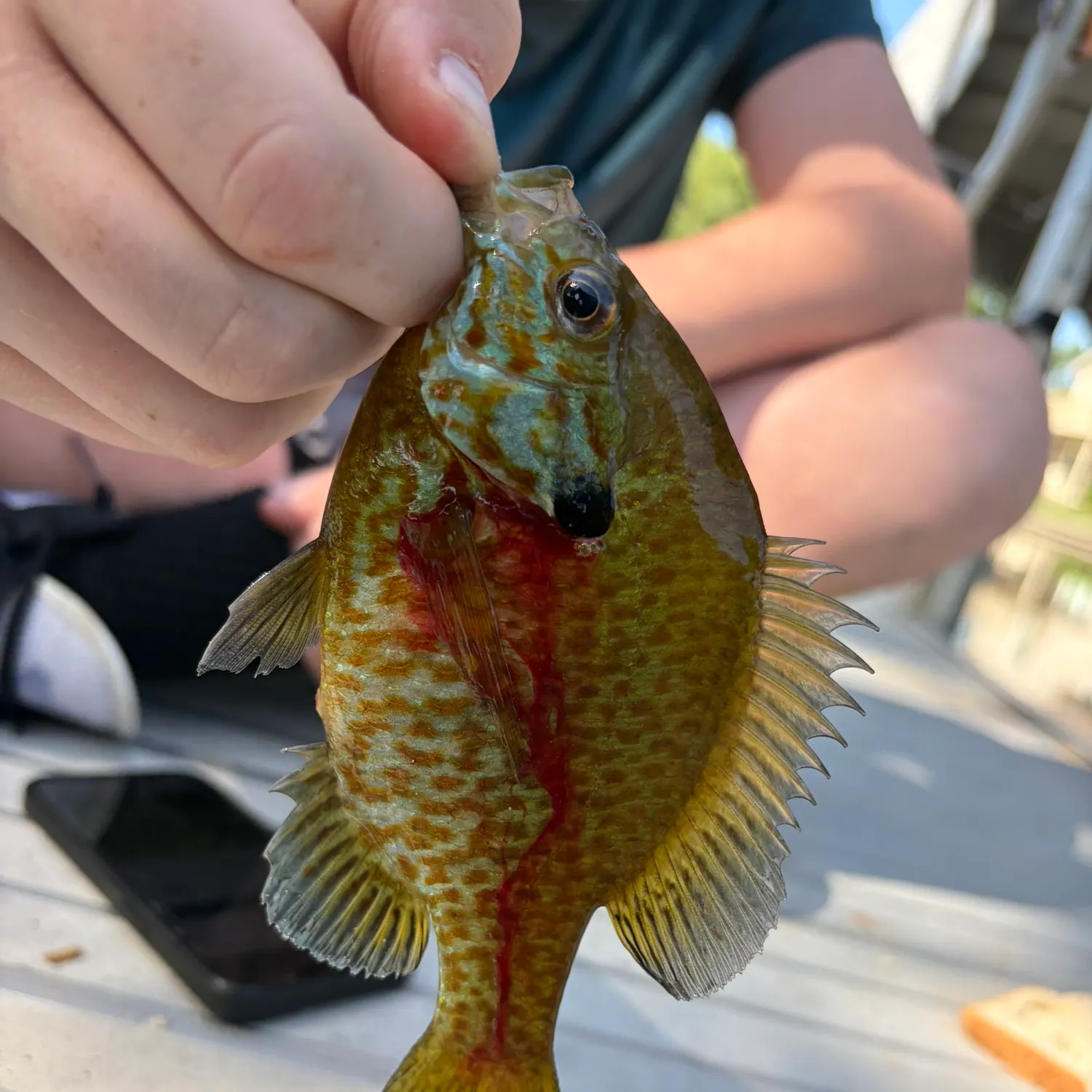 catch