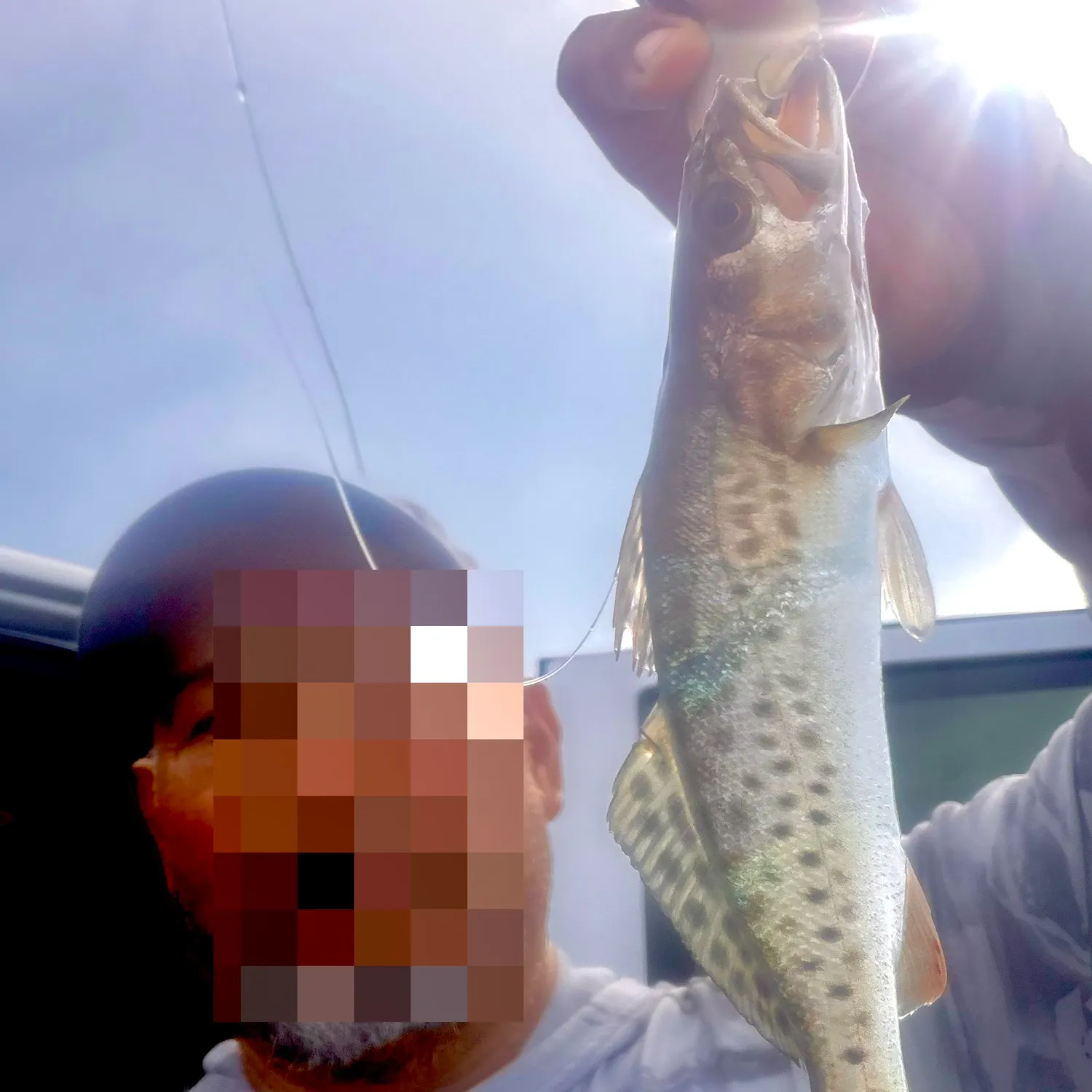 Spotted seatrout caught on Fishbrain