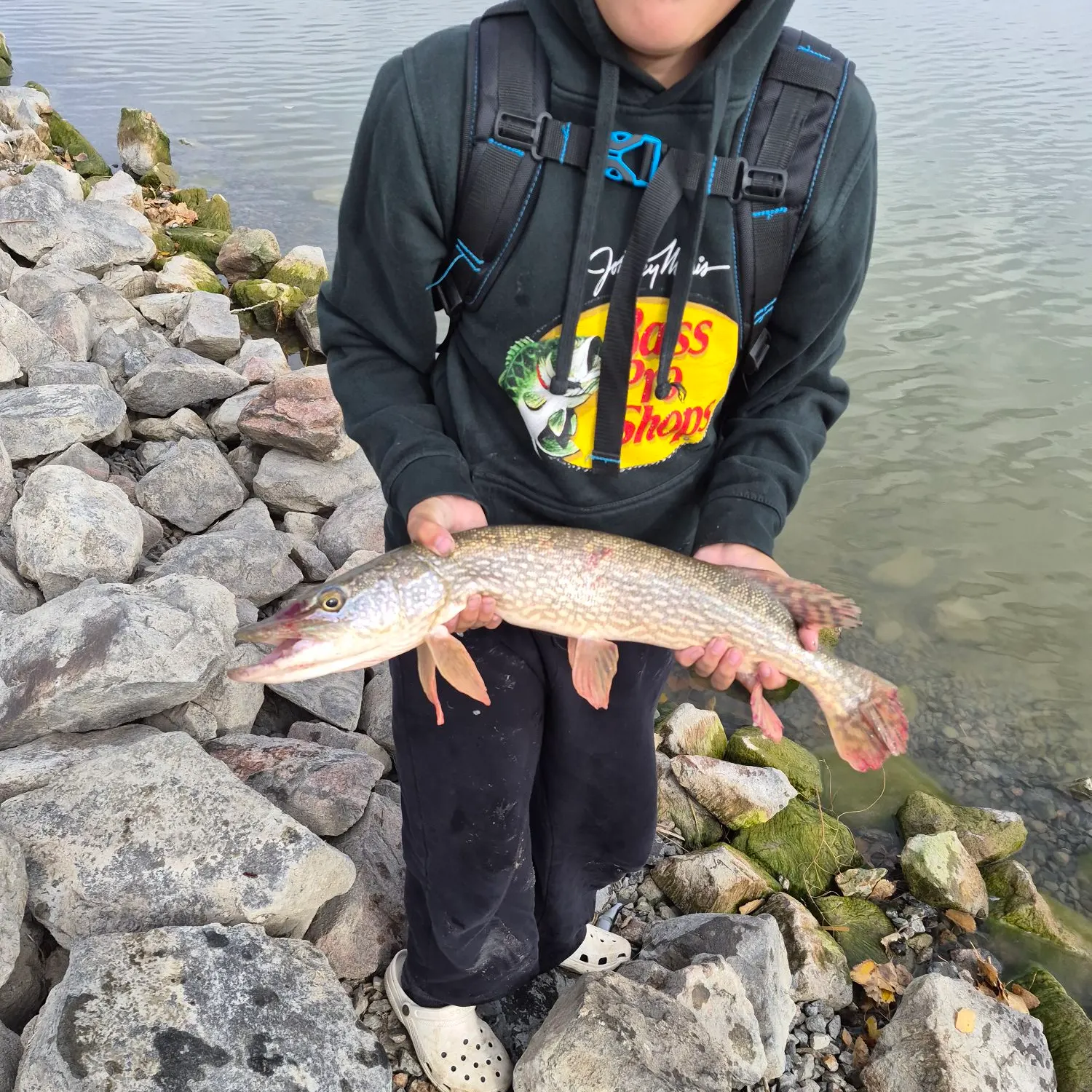 Northern pike caught on Fishbrain