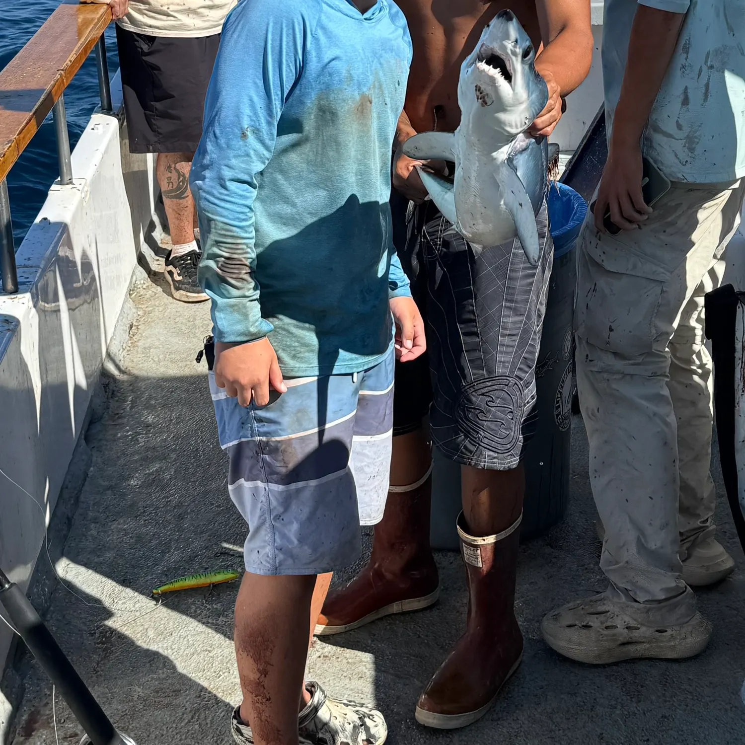 The most recent Longfin mako shark catches on Fishbrain