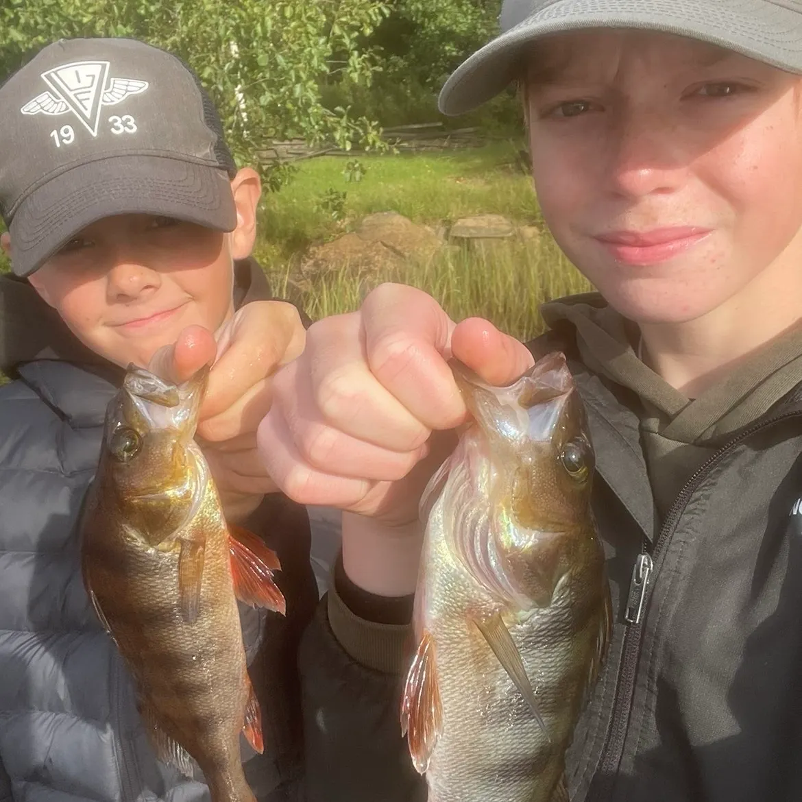 Fish caught on Fishbrain