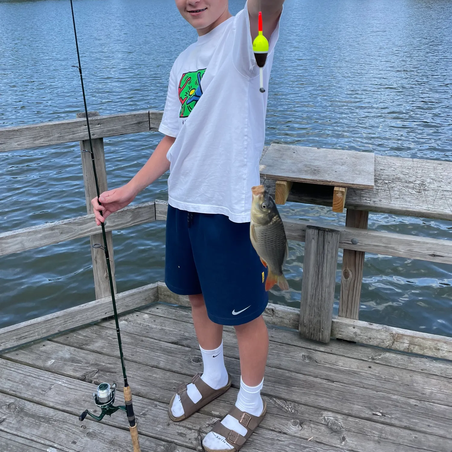 Common carp caught on Fishbrain
