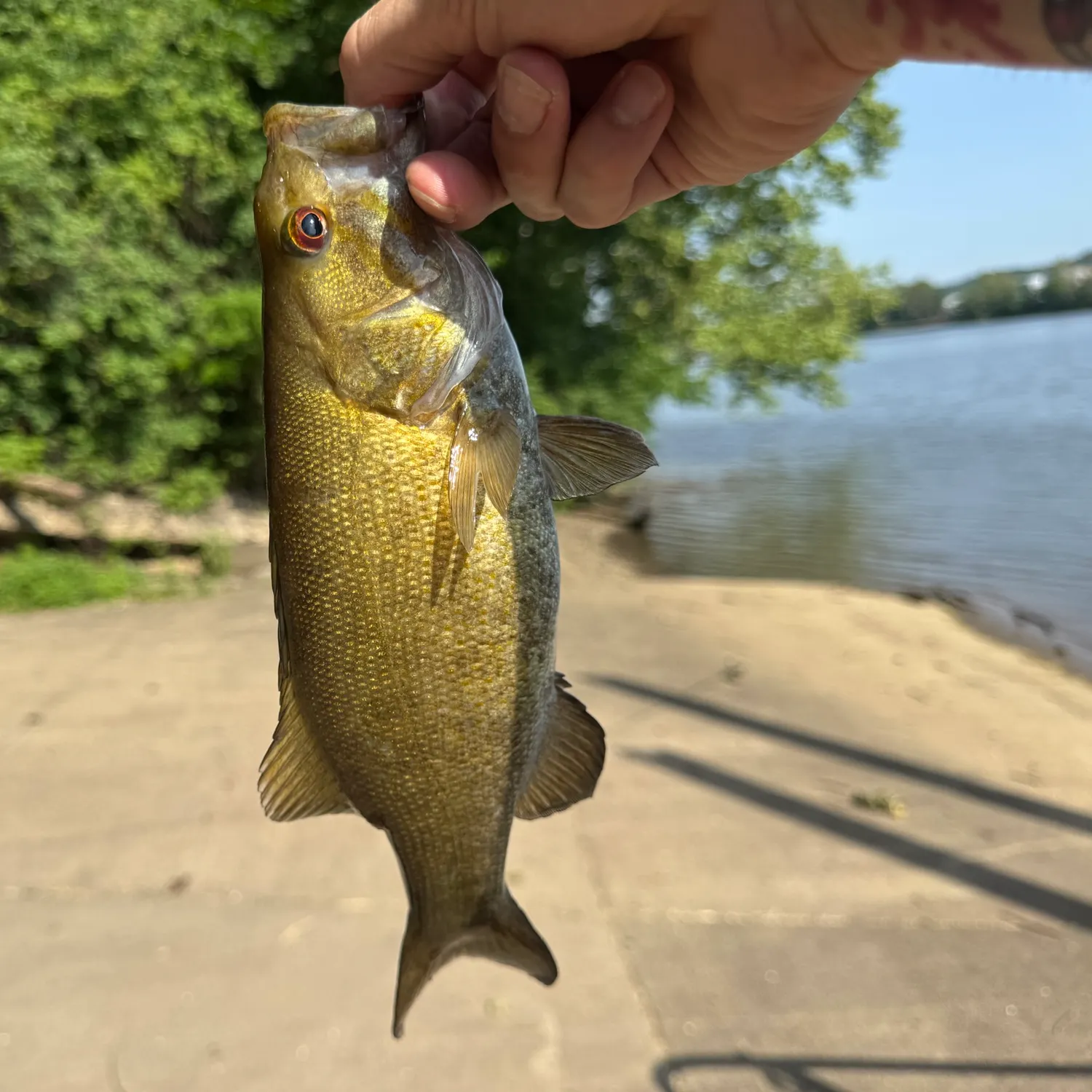 catch