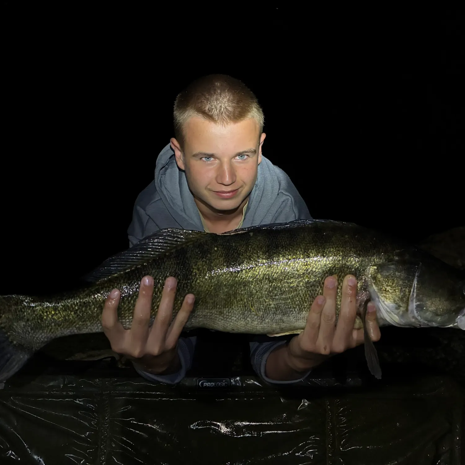 Zander caught on Fishbrain