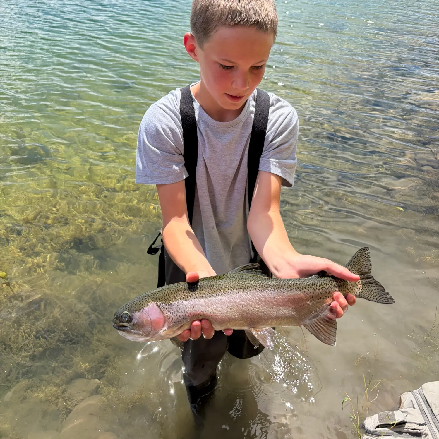 Rainbow trout caught on Fishbrain