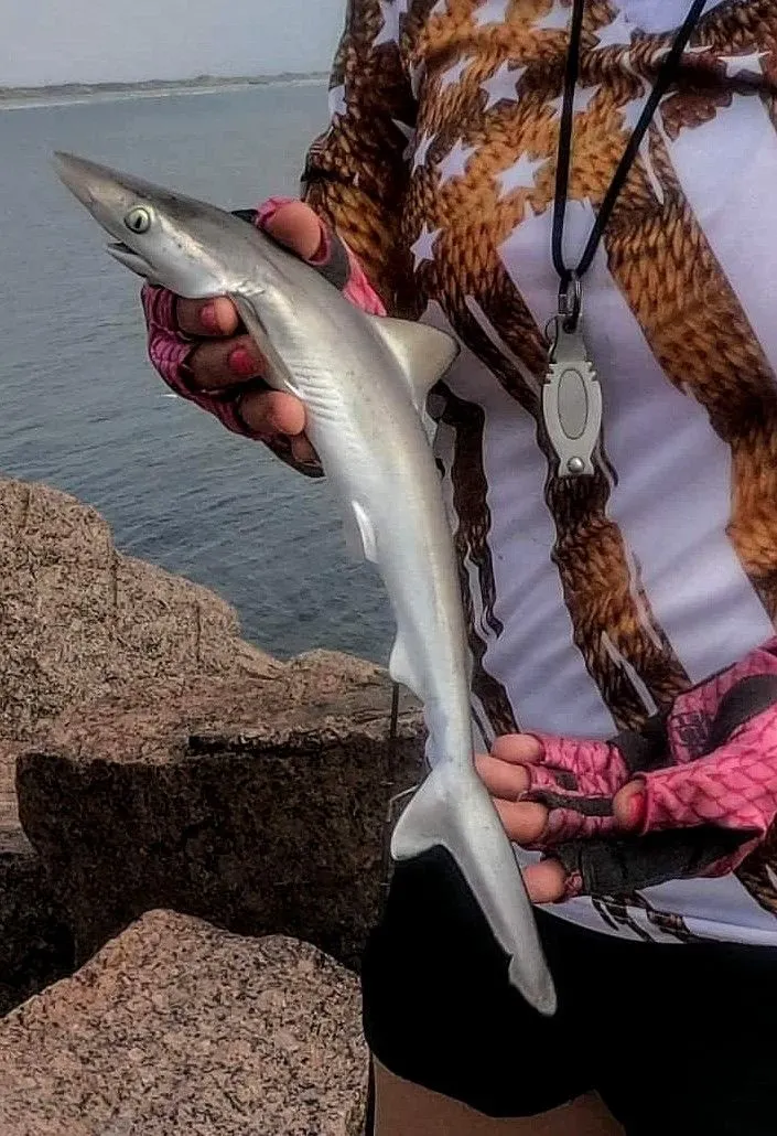 Post image from laurelcan2