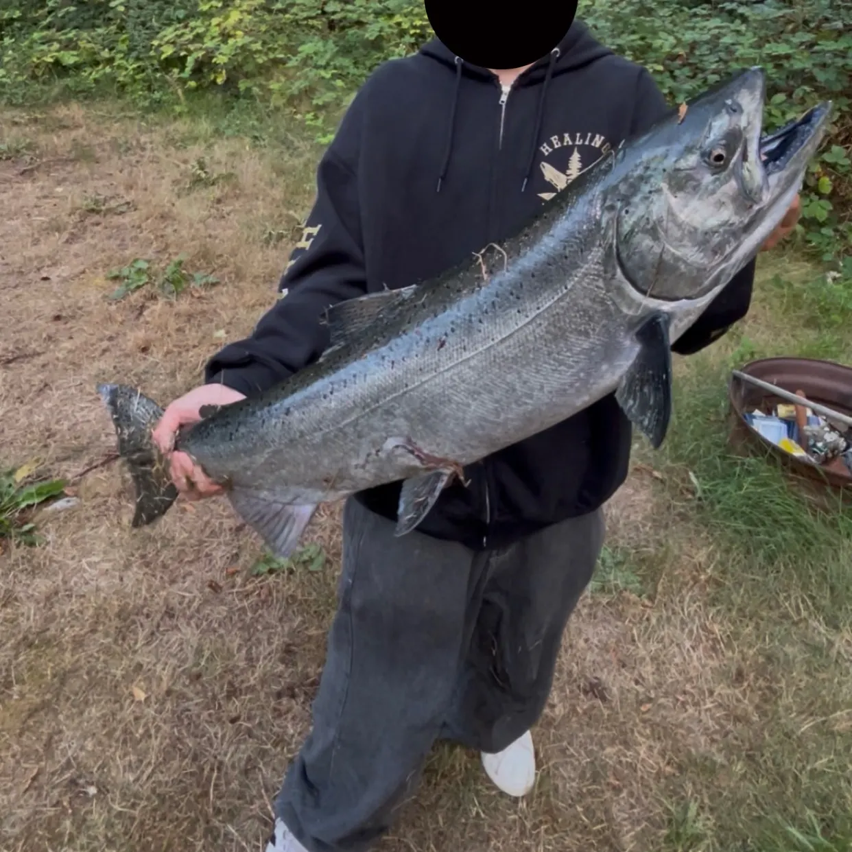 Chinook salmon caught on Fishbrain