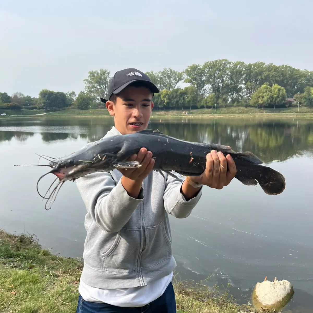 Black bullhead caught on Fishbrain