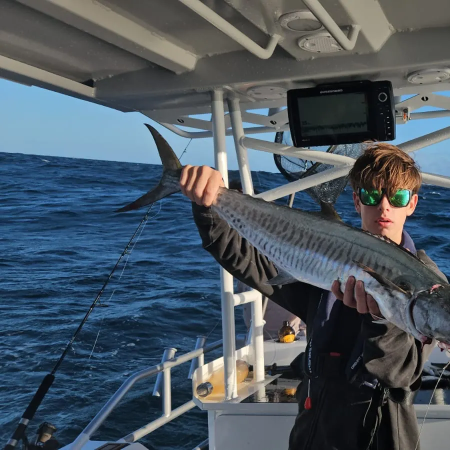 The most recent Narrow-barred Spanish mackerel catches on Fishbrain