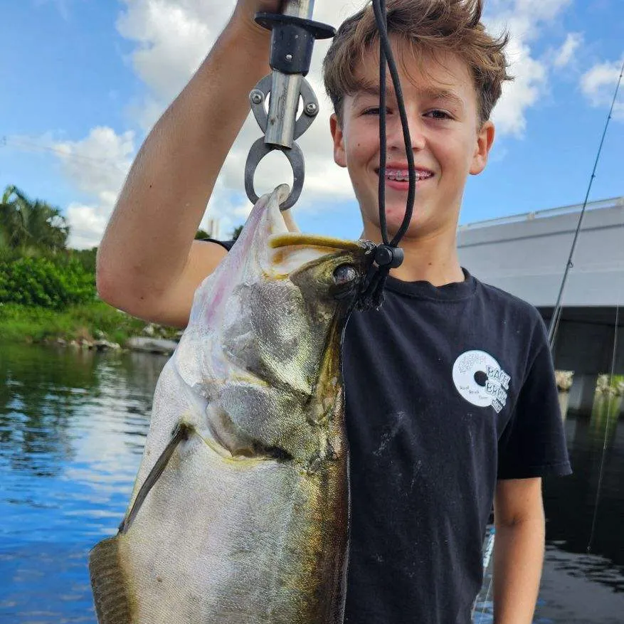 most liked catch image