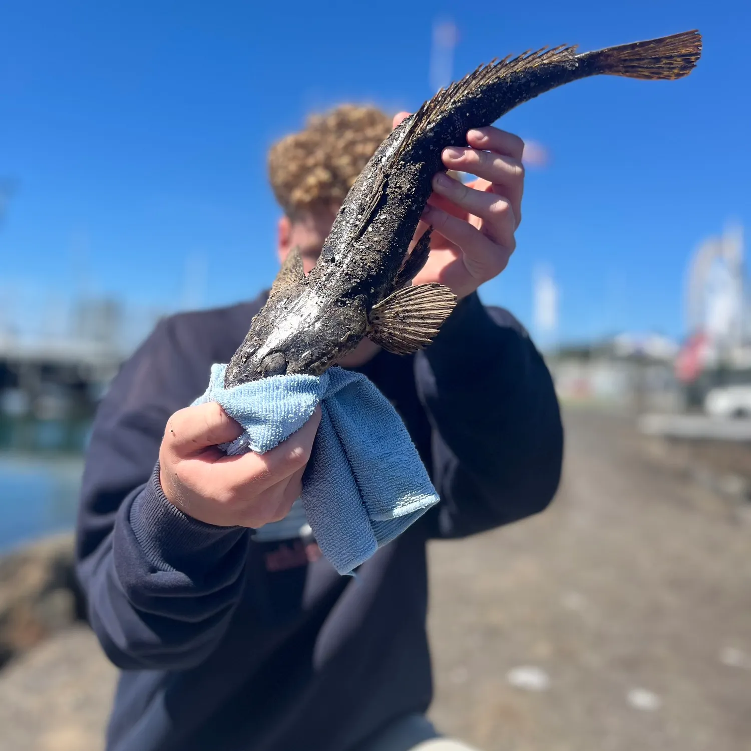 The most recent Rock flathead catches on Fishbrain