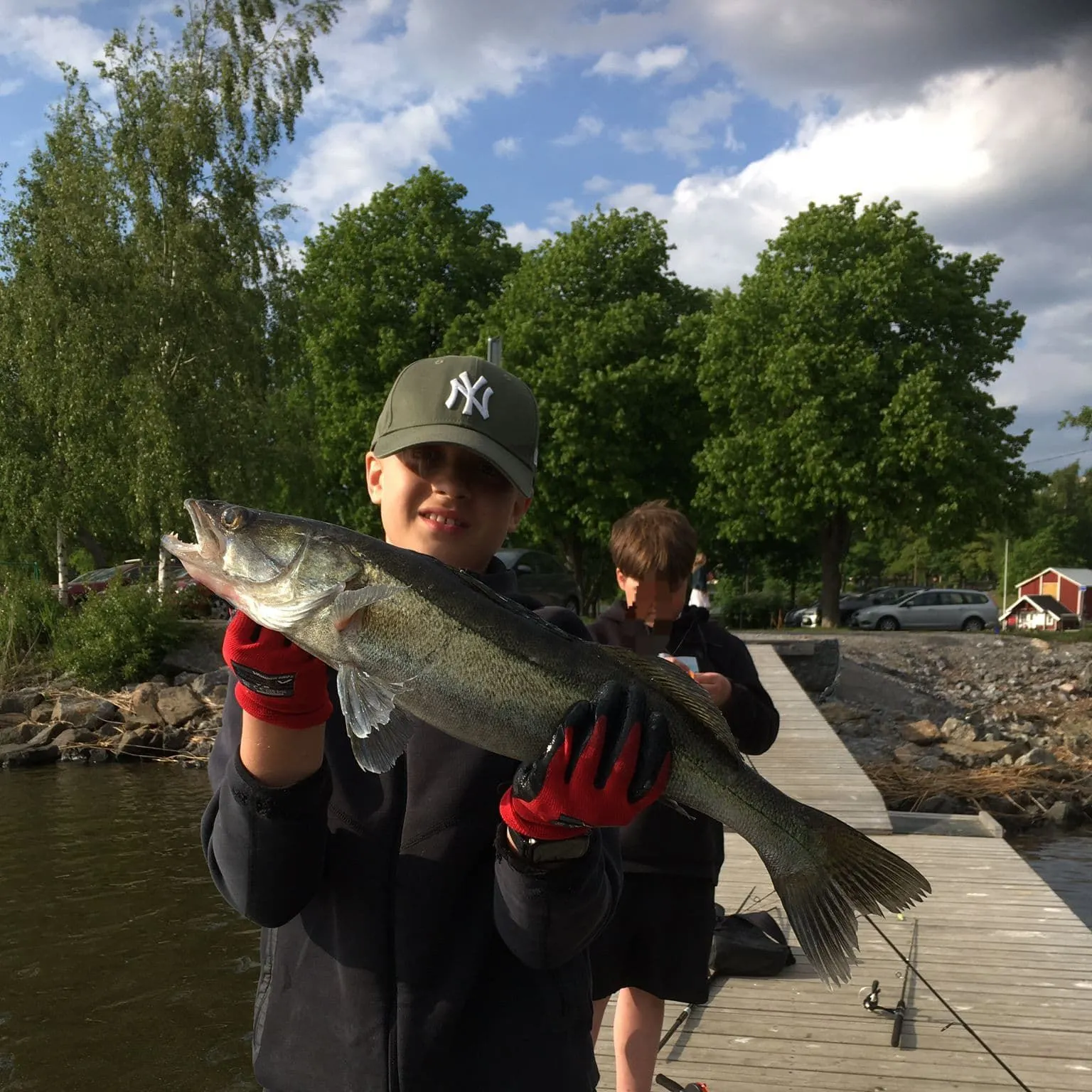 The most recent Zander catches on Fishbrain
