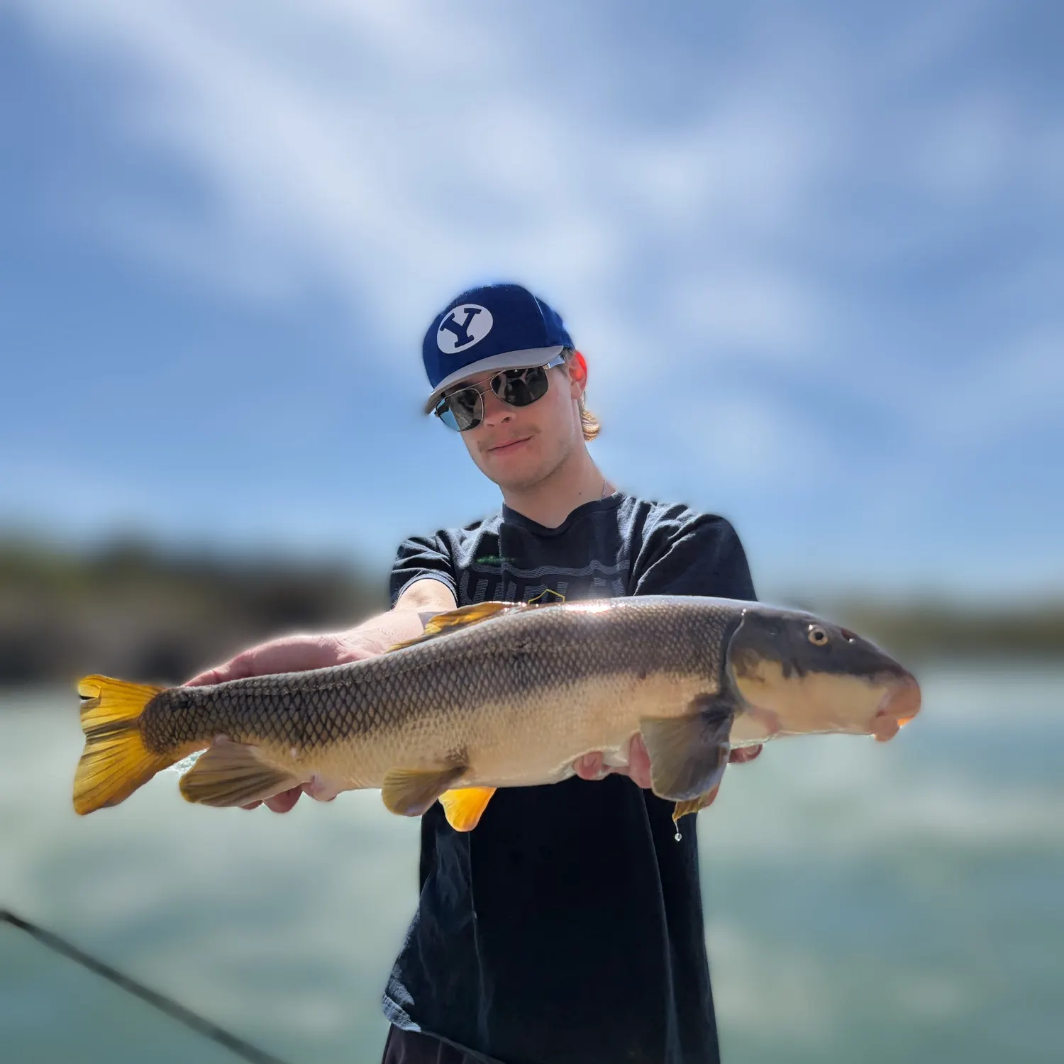 The most recent Largescale sucker catches on Fishbrain