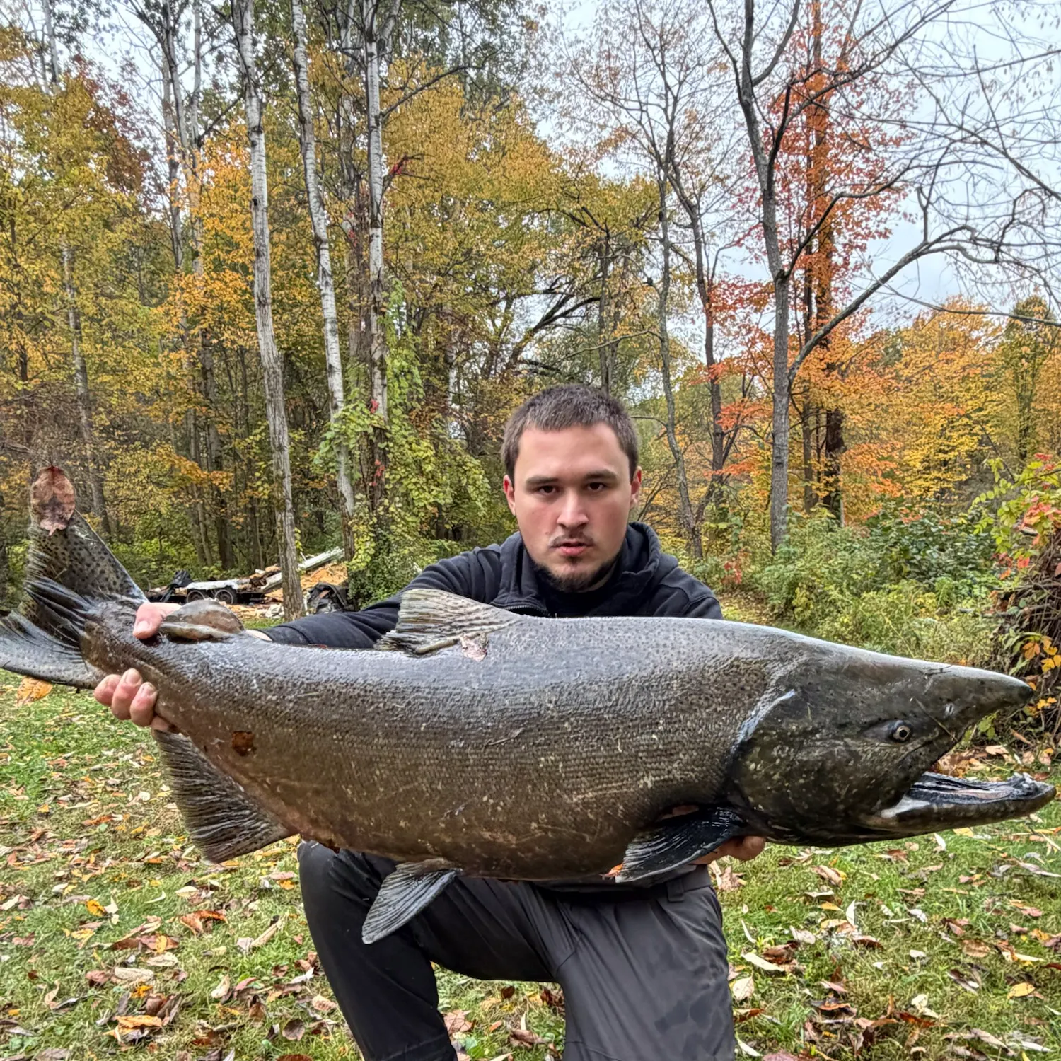 Chinook salmon caught on Fishbrain