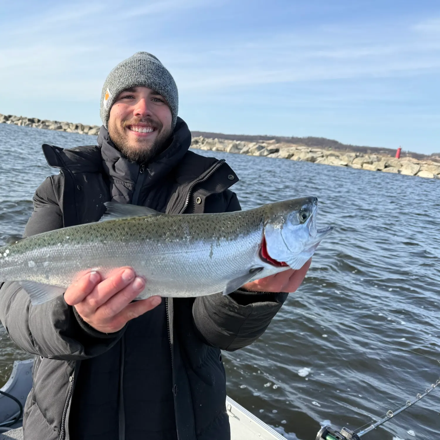 The most recent Coho salmon catches on Fishbrain