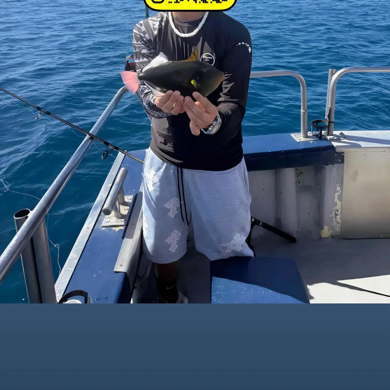 The most recent Pinktail triggerfish catches on Fishbrain