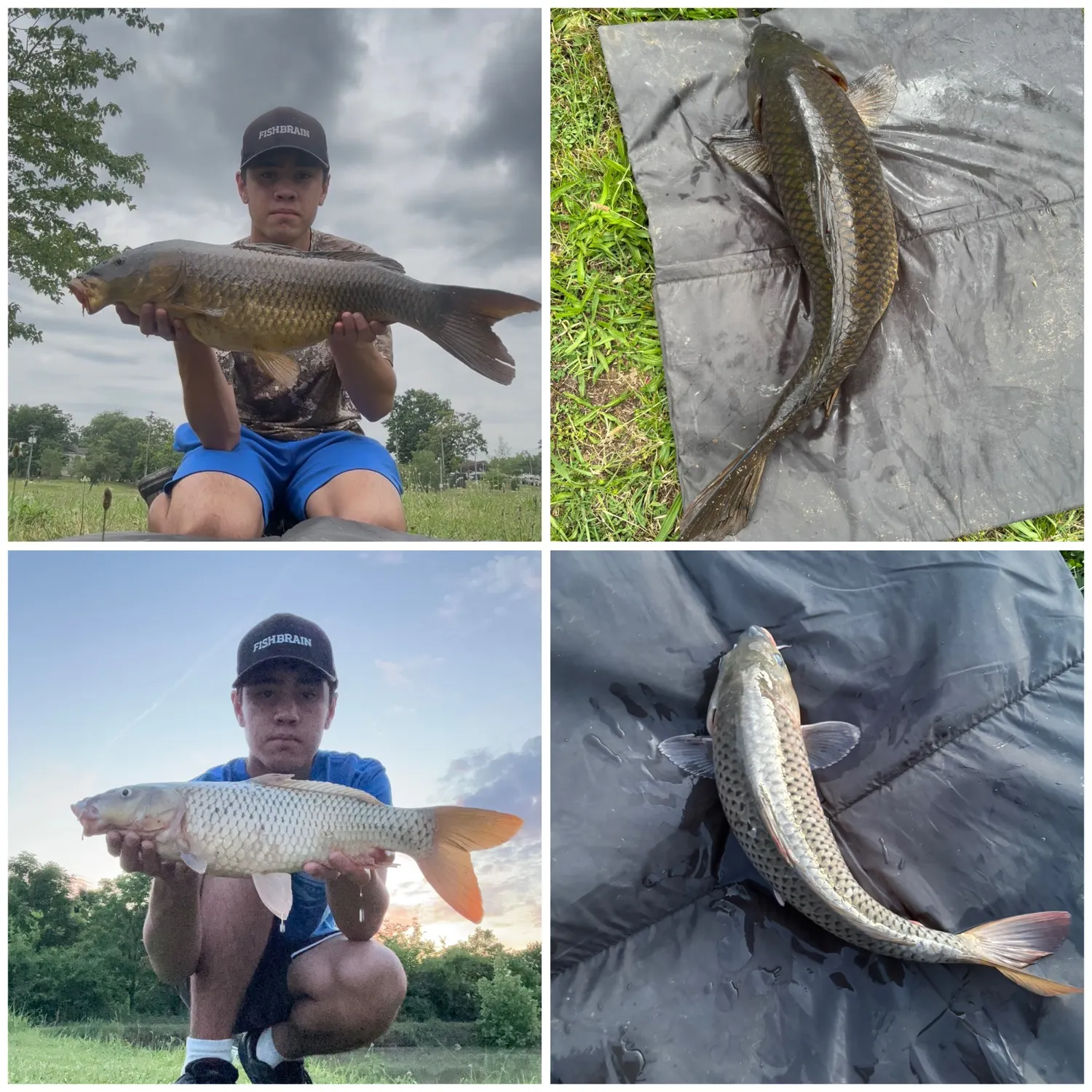 recently logged catches
