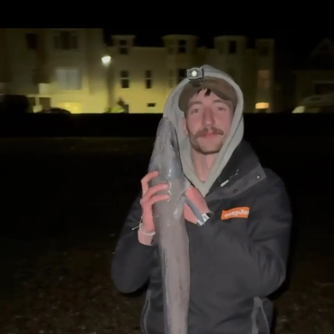 The most recent European conger catches on Fishbrain