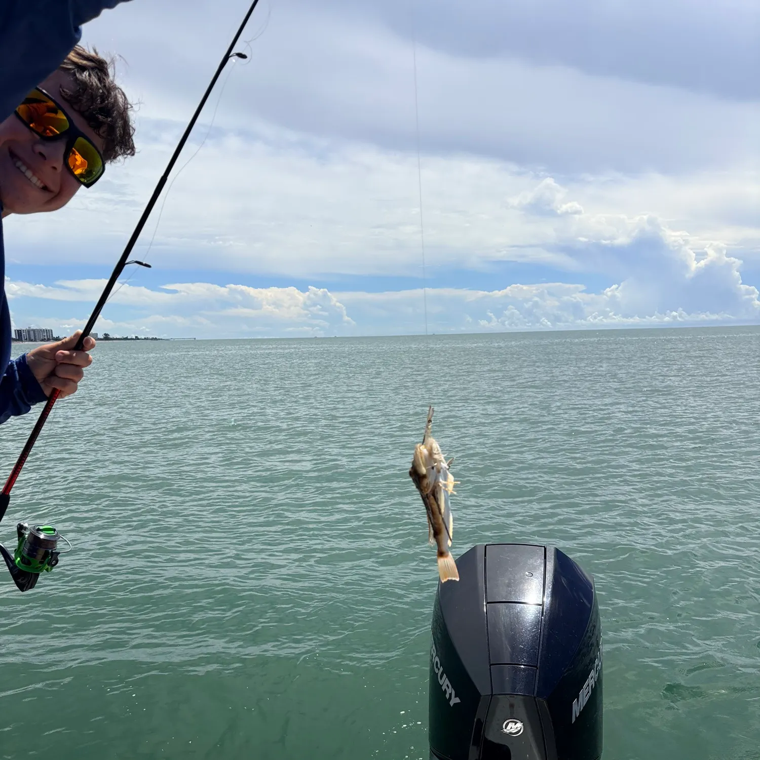 The most recent Striped searobin catches on Fishbrain