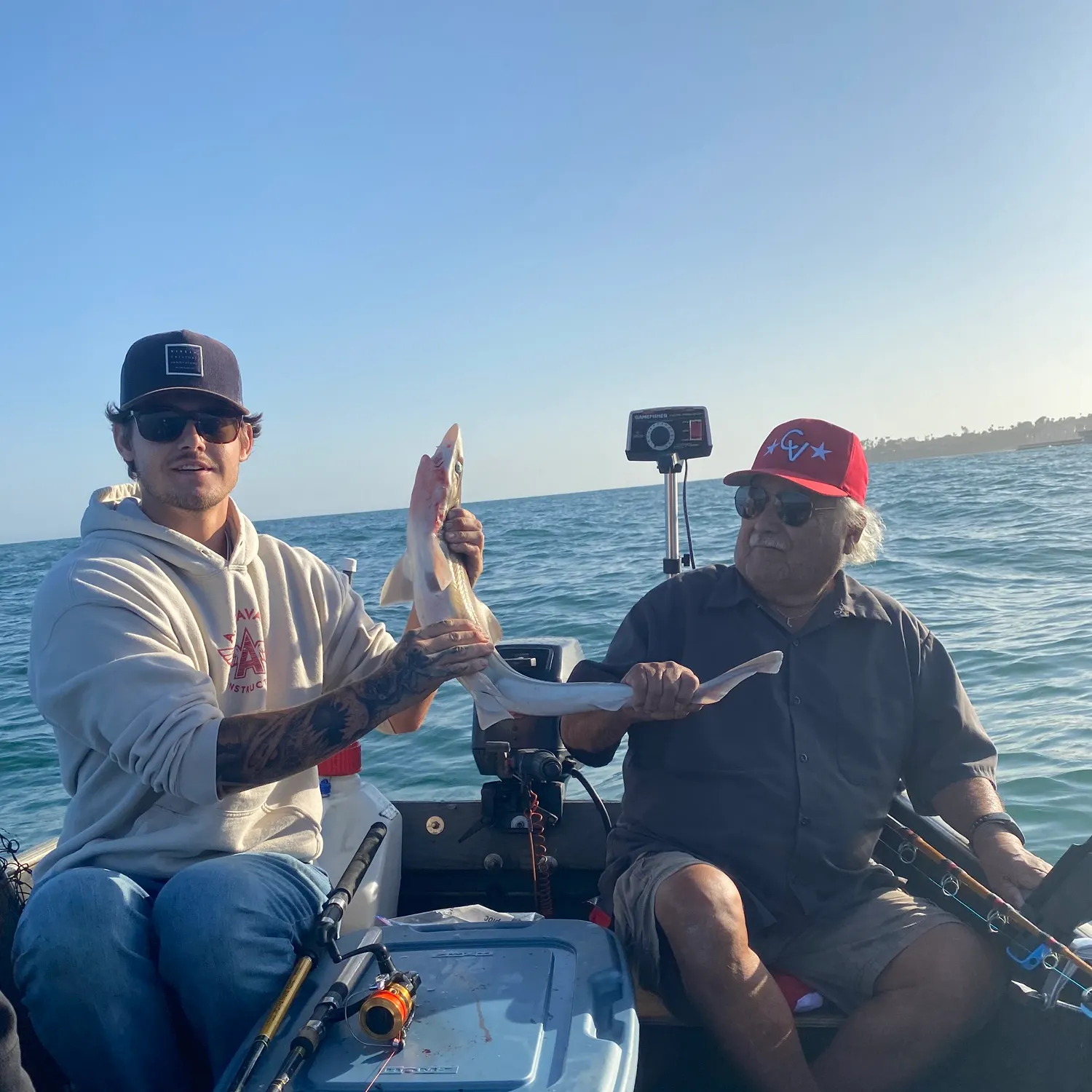The most recent Tope shark catches on Fishbrain