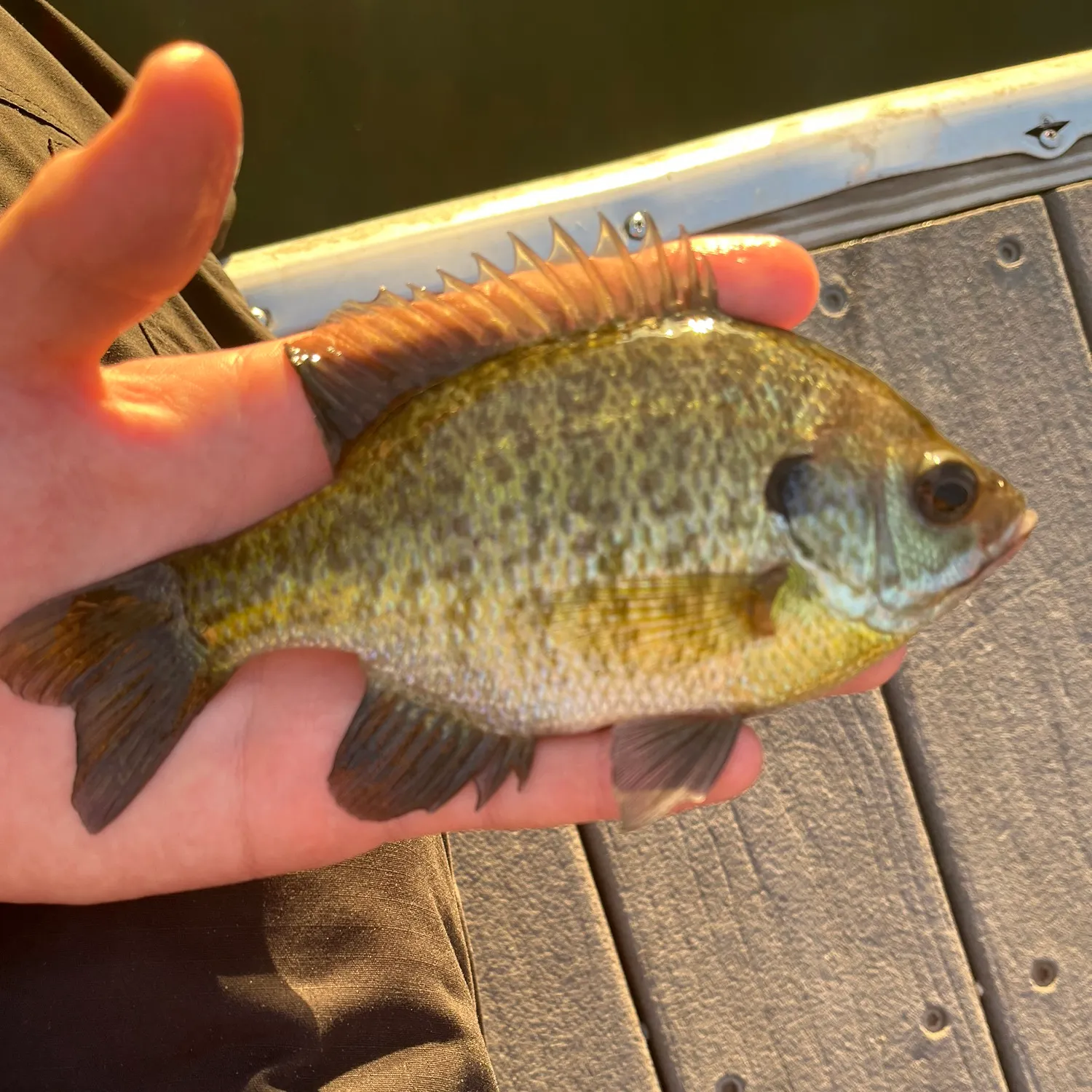 catch