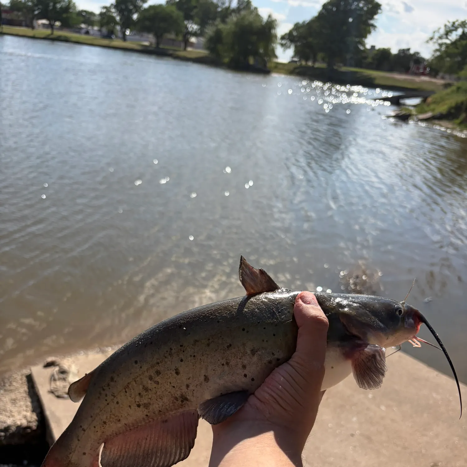 catch