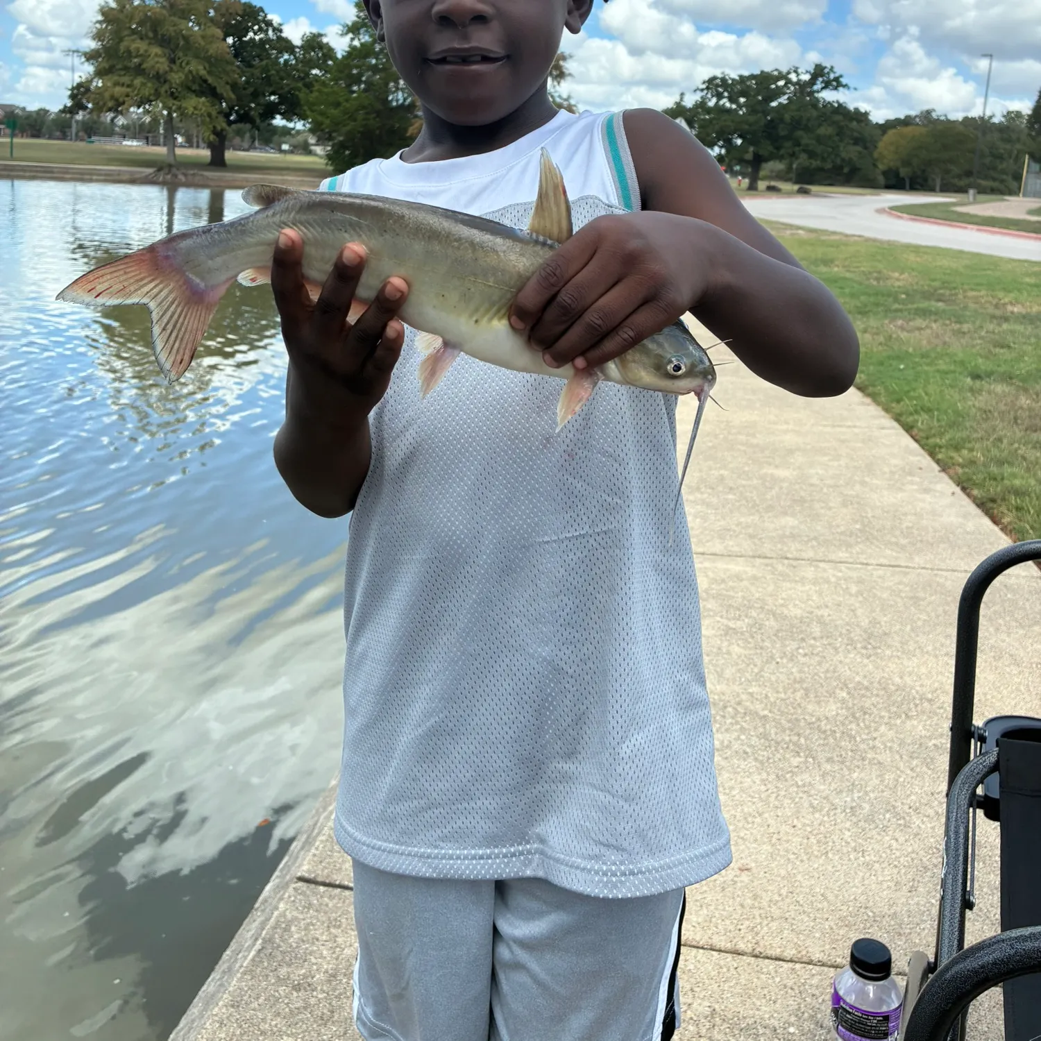 Channel catfish caught on Fishbrain