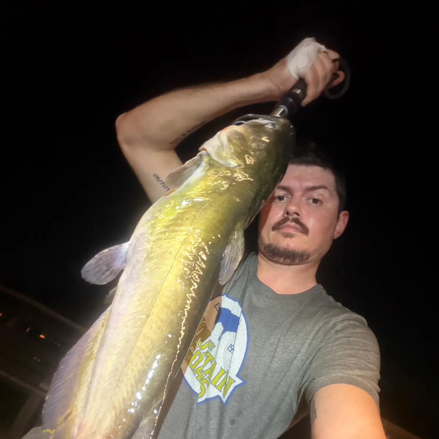 Channel catfish caught on Fishbrain