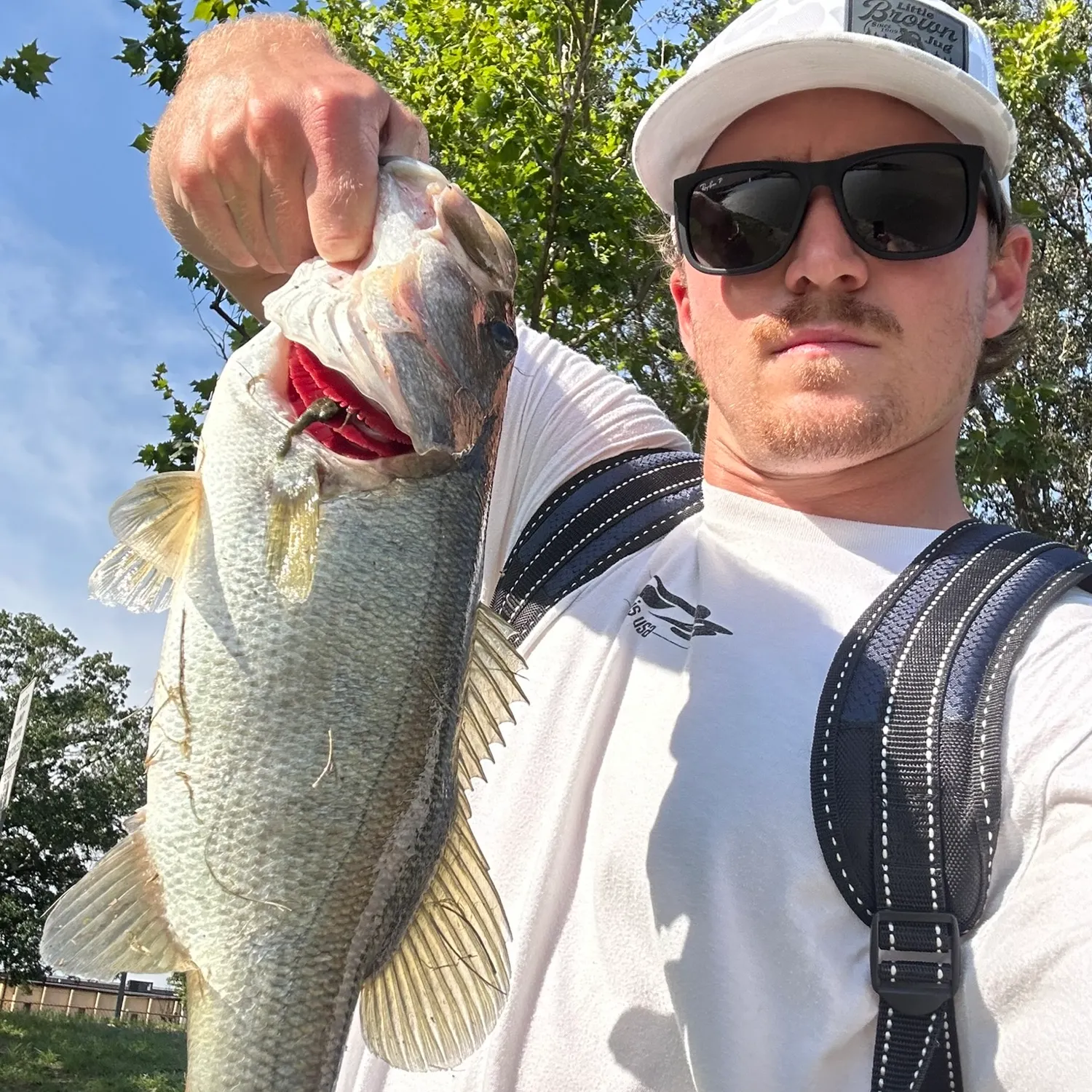 Largemouth bass caught on Fishbrain