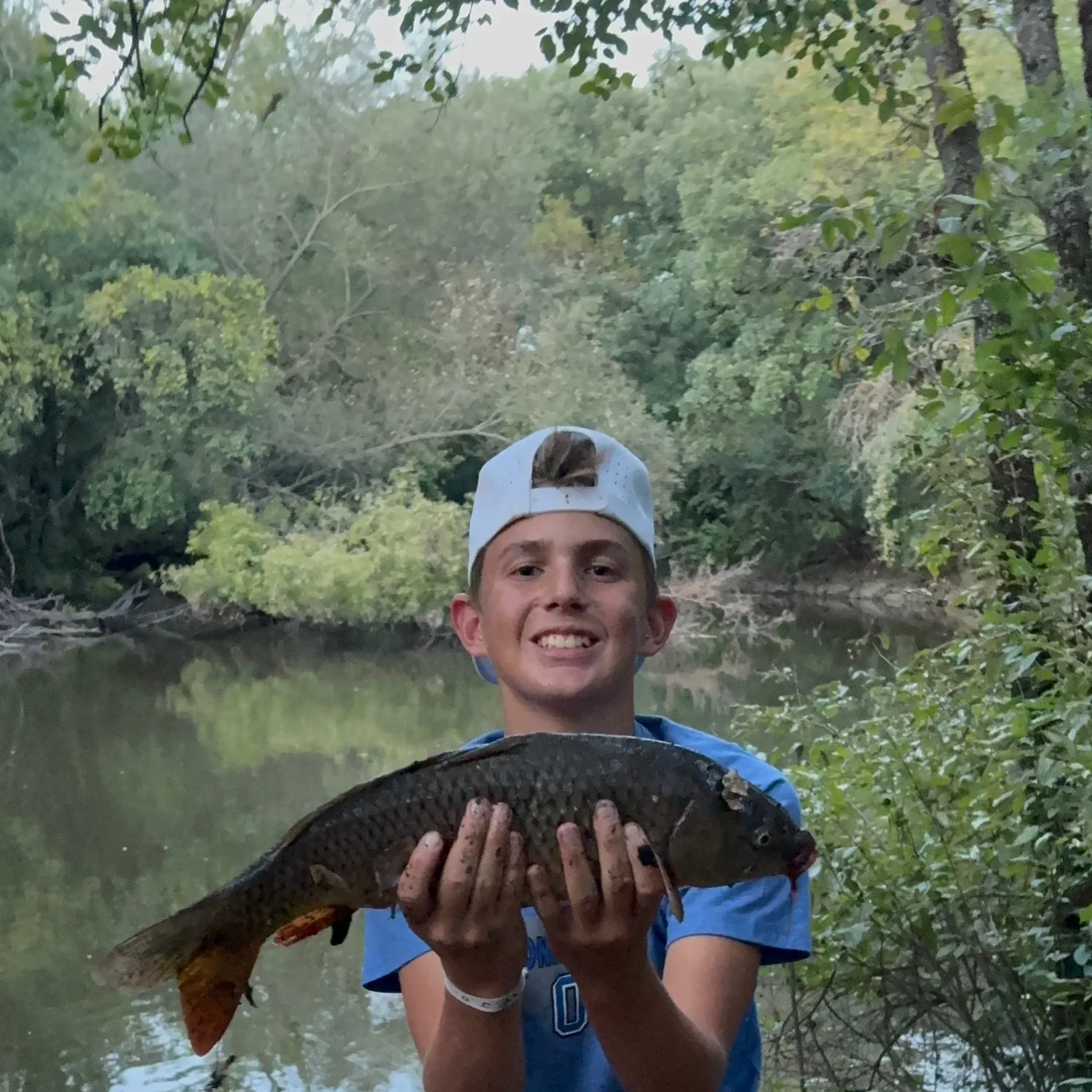 Common carp caught on Fishbrain
