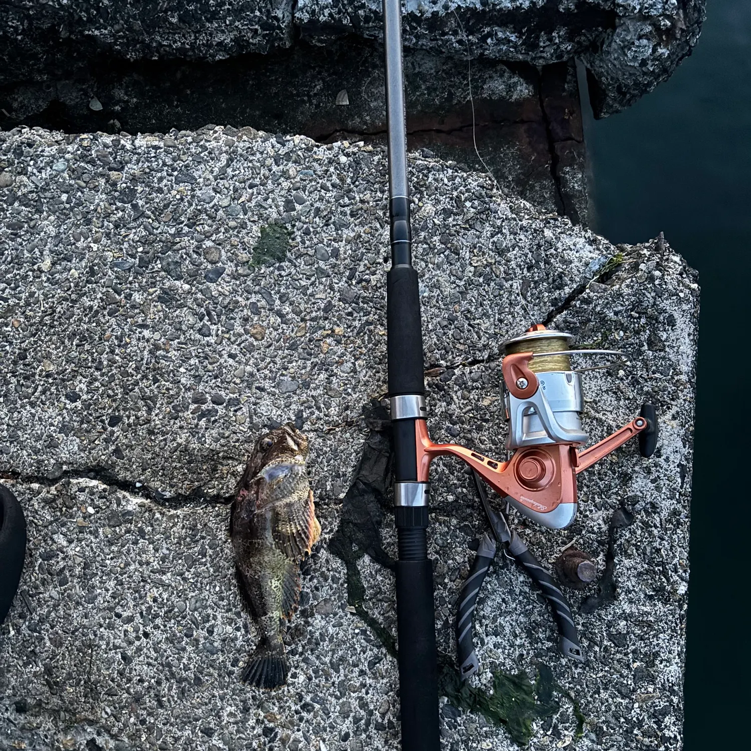 Buffalo sculpin caught on Fishbrain