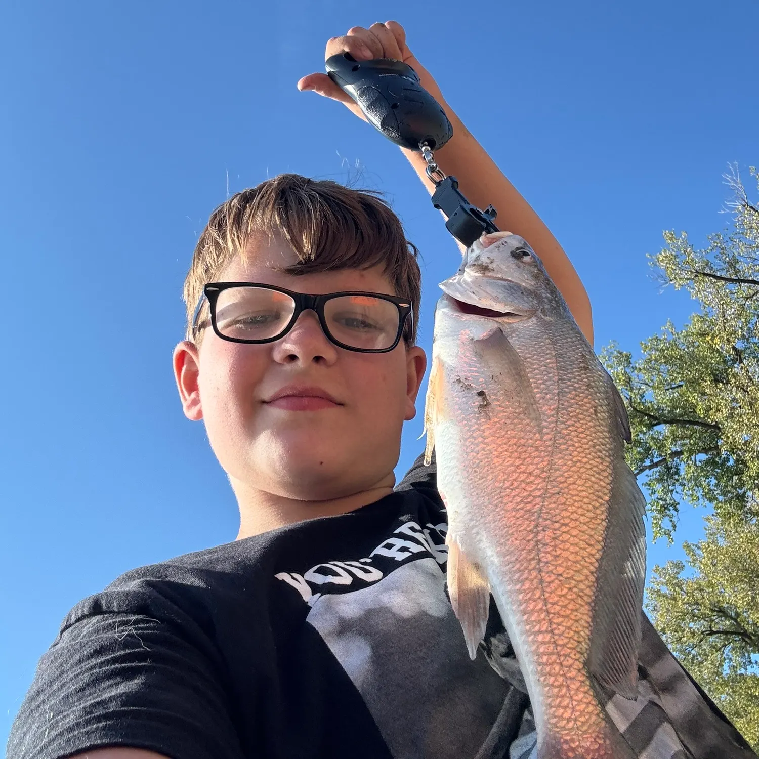 Freshwater drum caught on Fishbrain