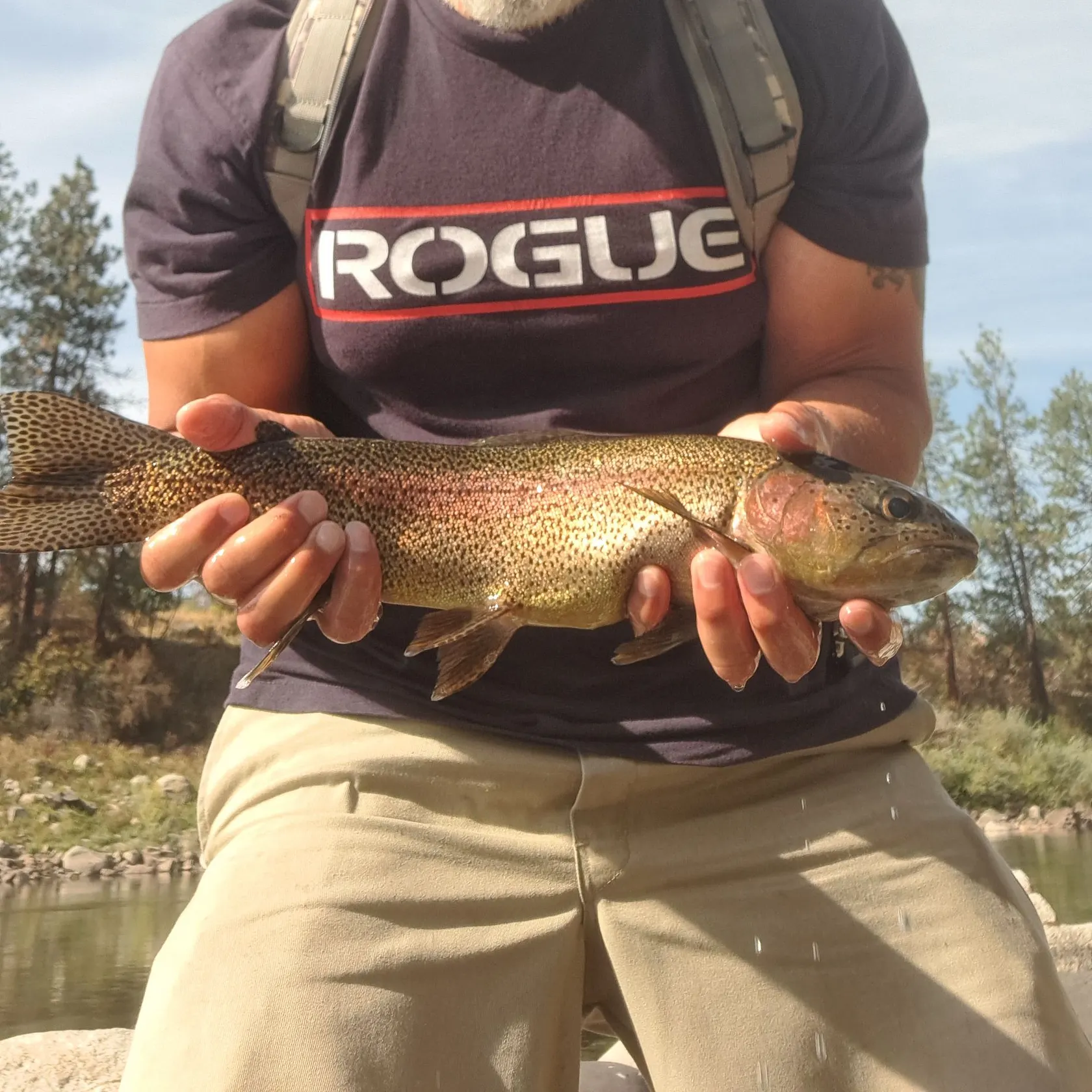 Rainbow trout caught on Fishbrain