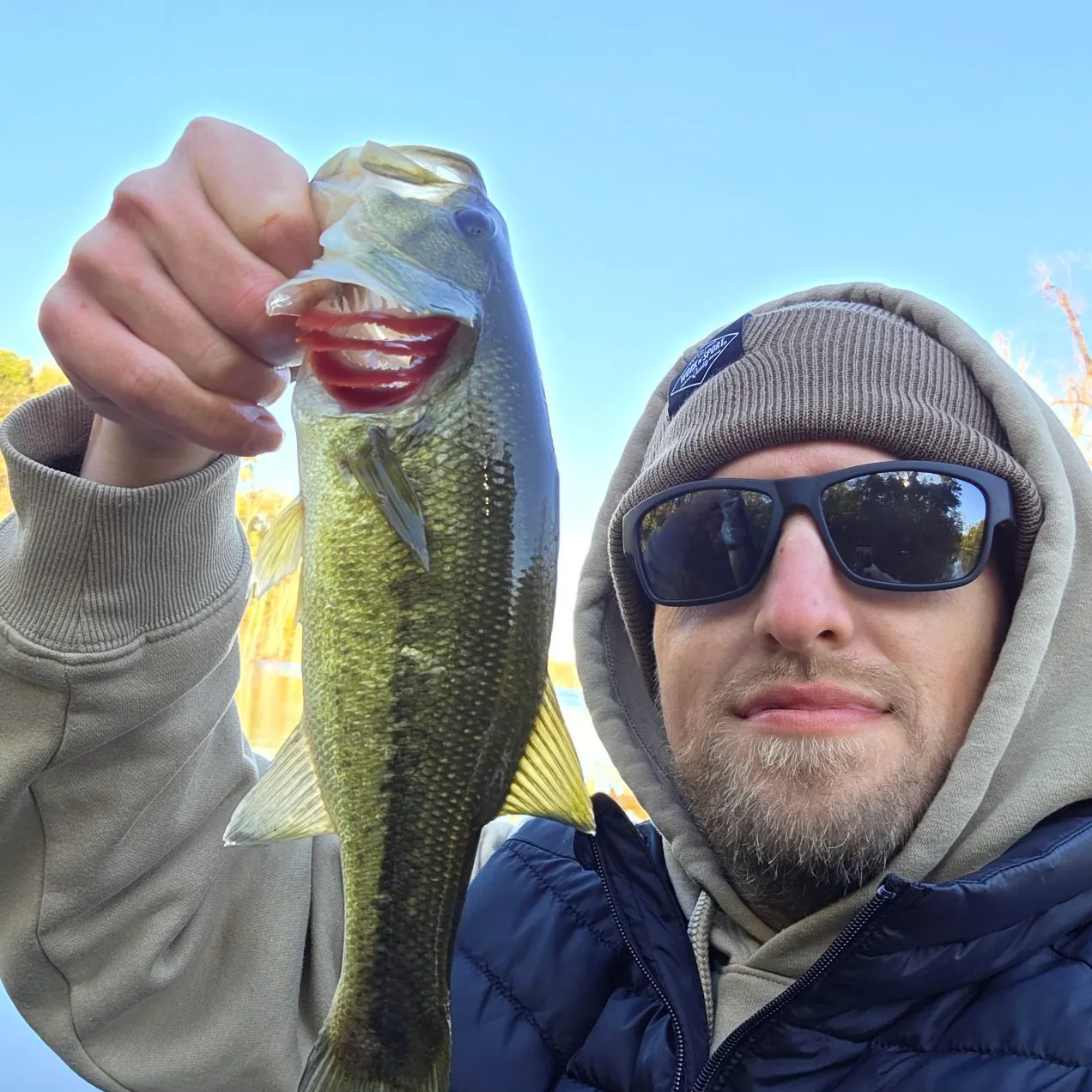 Largemouth bass caught on Fishbrain
