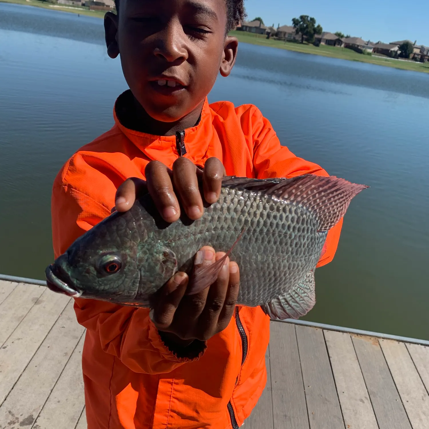 Blue tilapia caught on Fishbrain