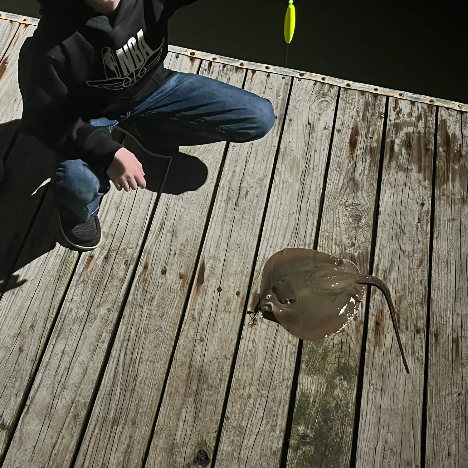 Common stingaree caught on Fishbrain
