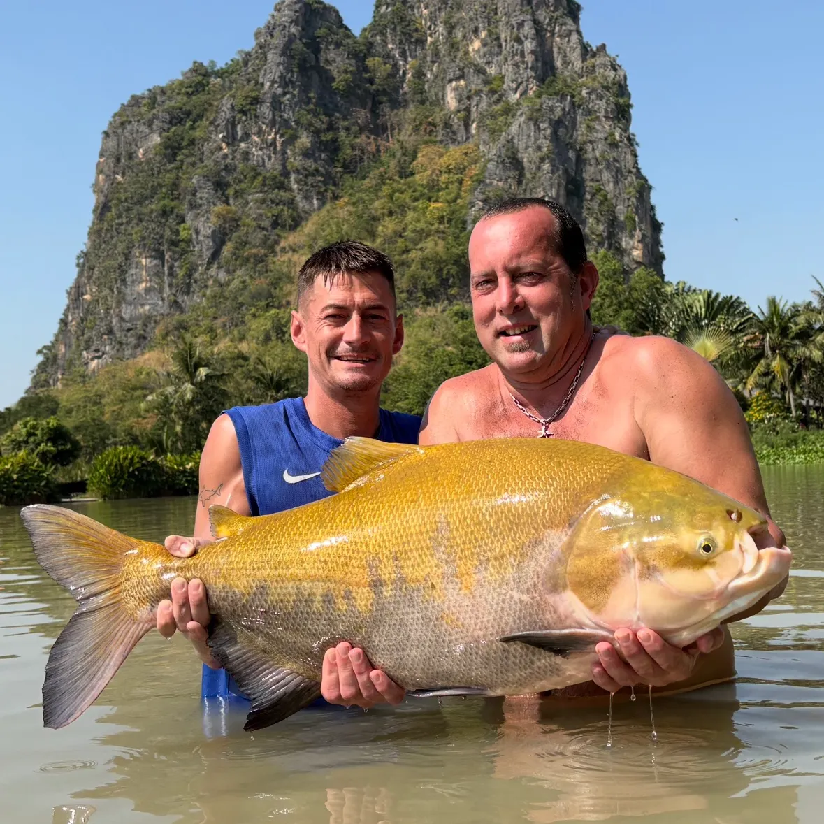 The most recent Tambacu catches on Fishbrain