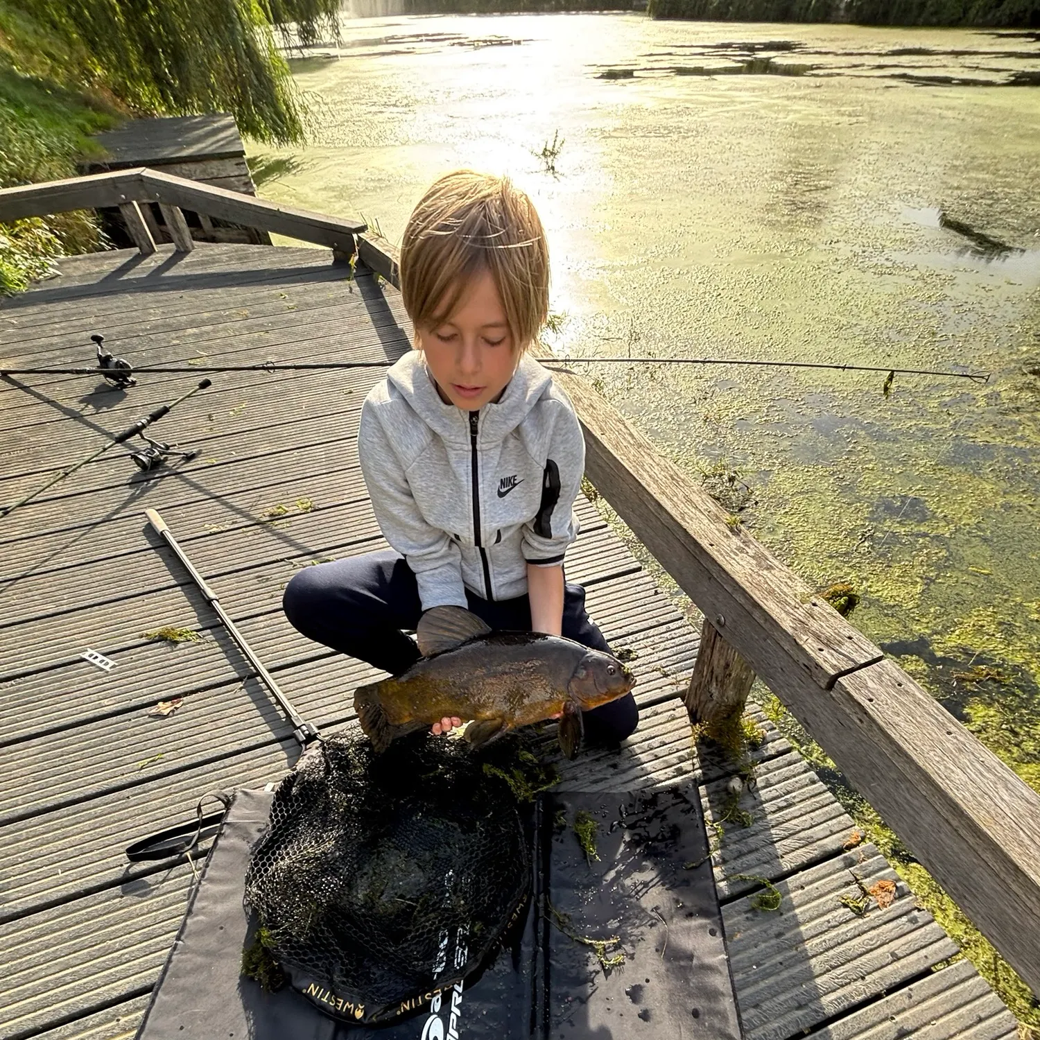 Tench caught on Fishbrain