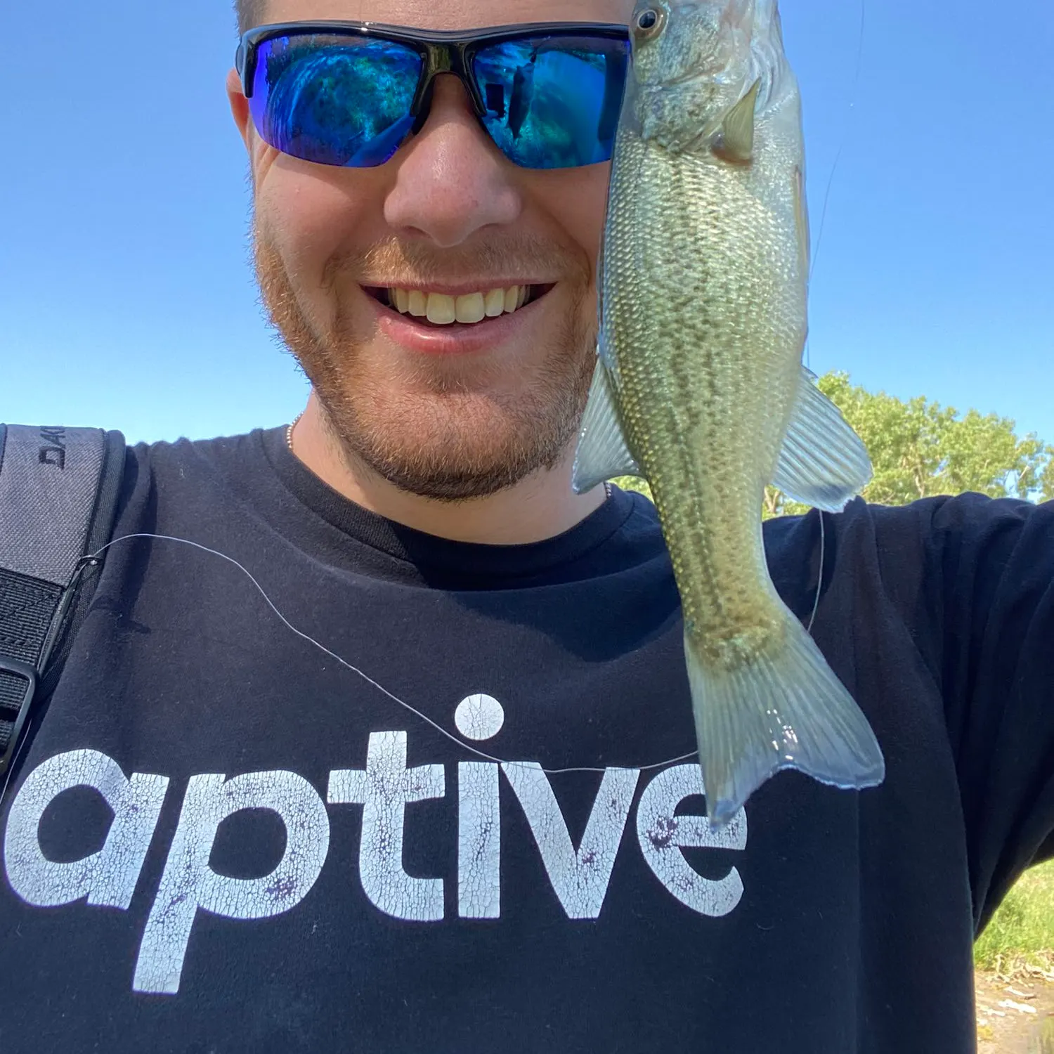 angler catch