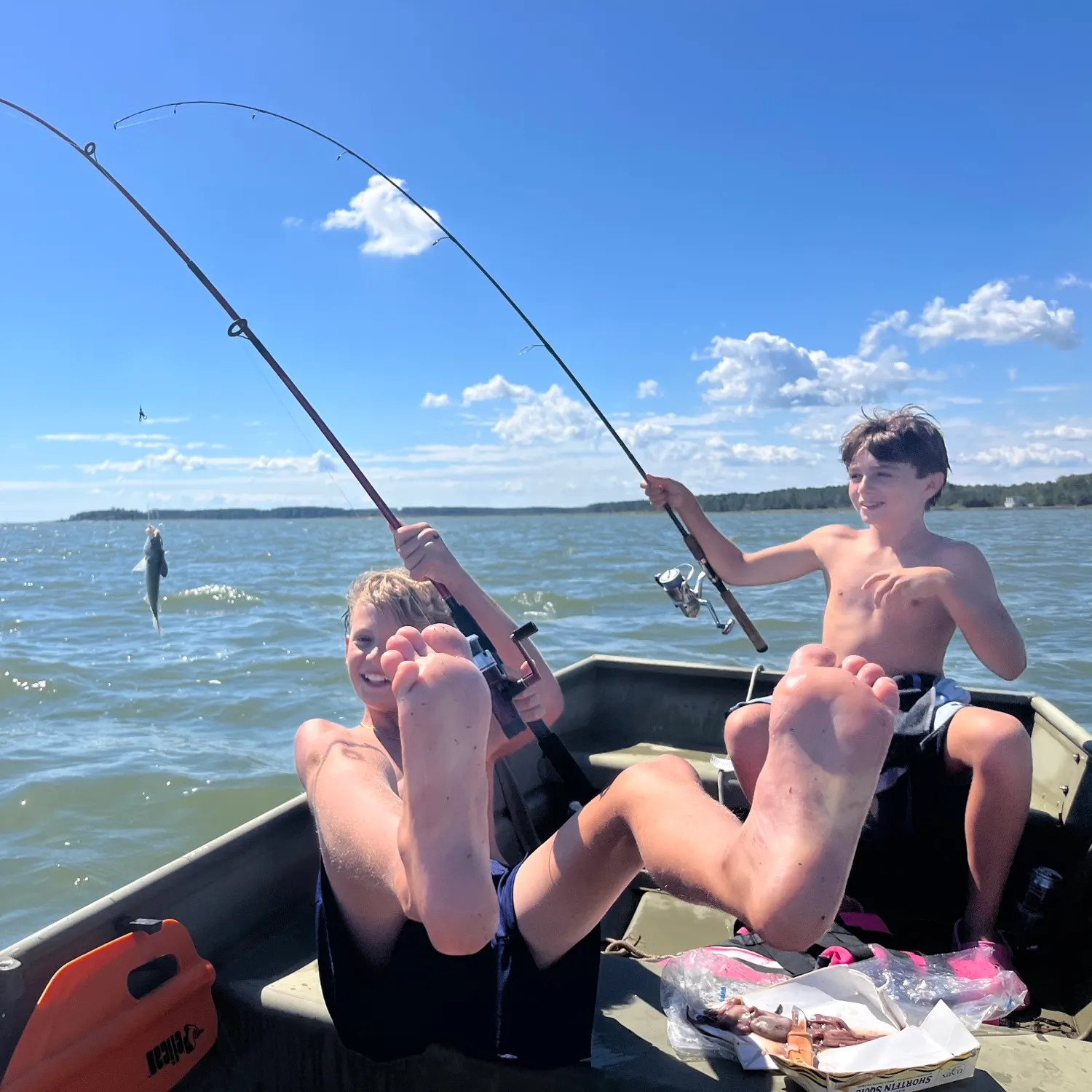 Gafftopsail sea catfish caught on Fishbrain