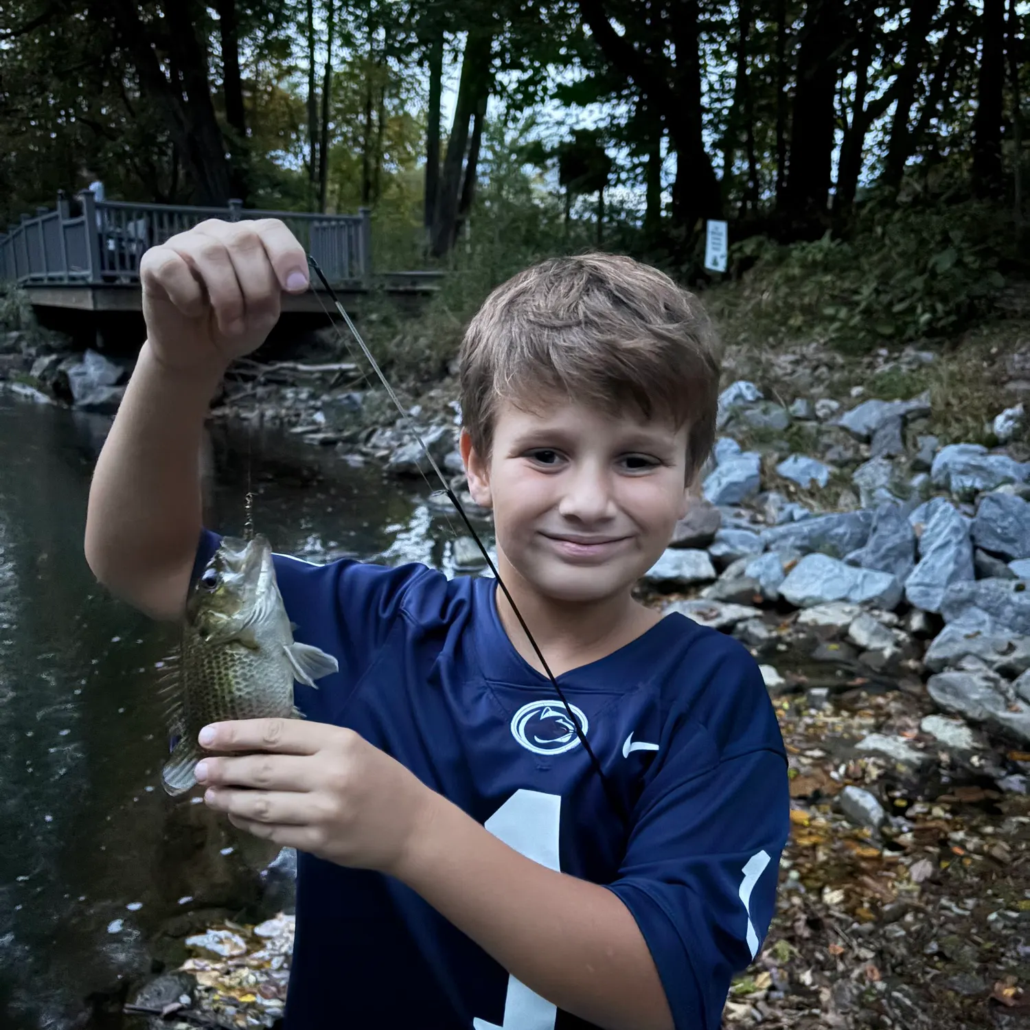Rock bass caught on Fishbrain