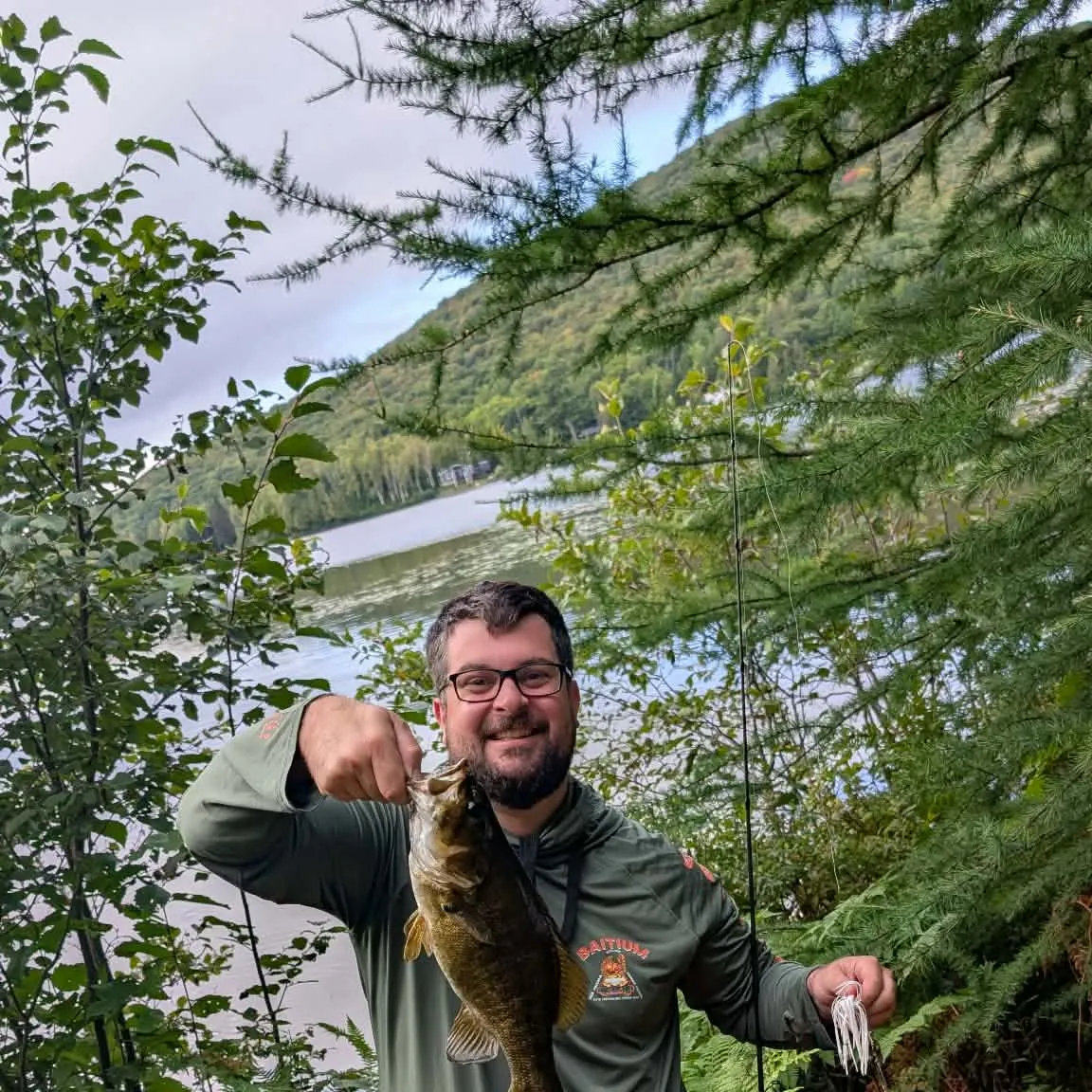 Smallmouth bass caught on Fishbrain