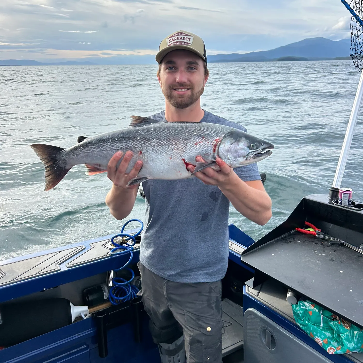 Coho salmon caught on Fishbrain