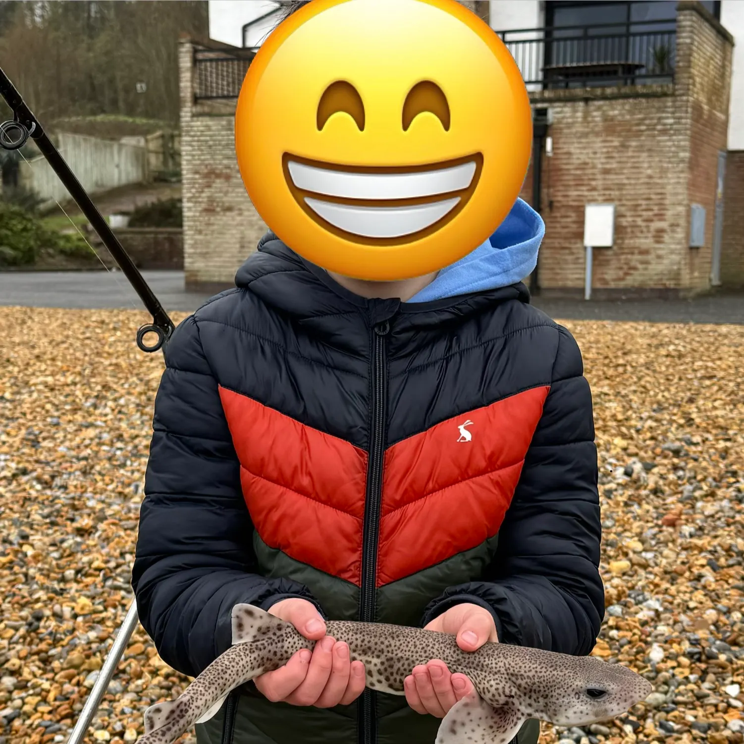 The most recent Common smooth-hound catches on Fishbrain