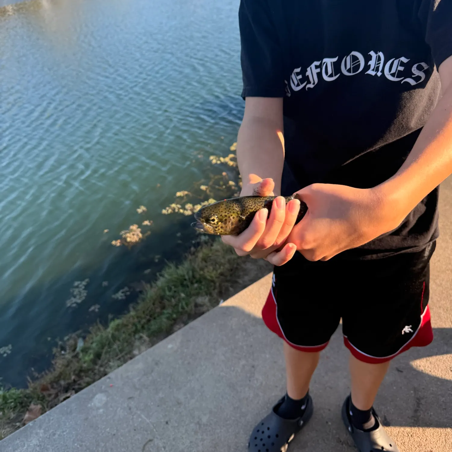 Brown trout caught on Fishbrain