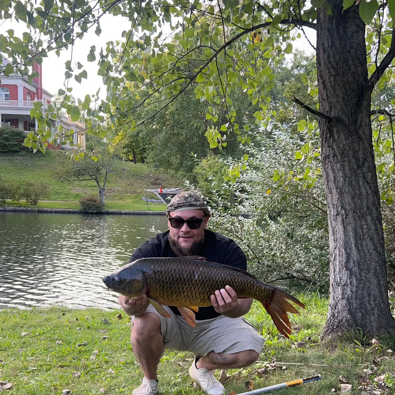 Common carp caught on Fishbrain