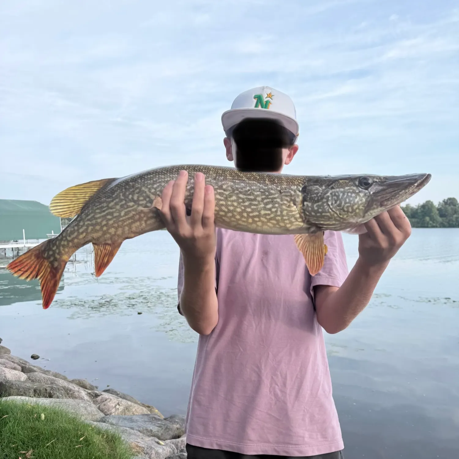 Northern pike caught on Fishbrain