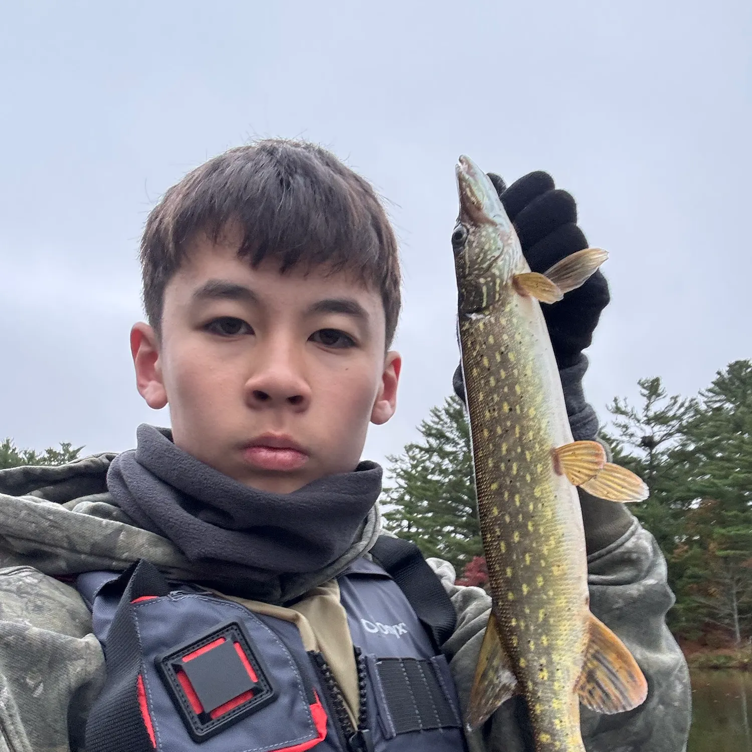 Northern pike caught on Fishbrain